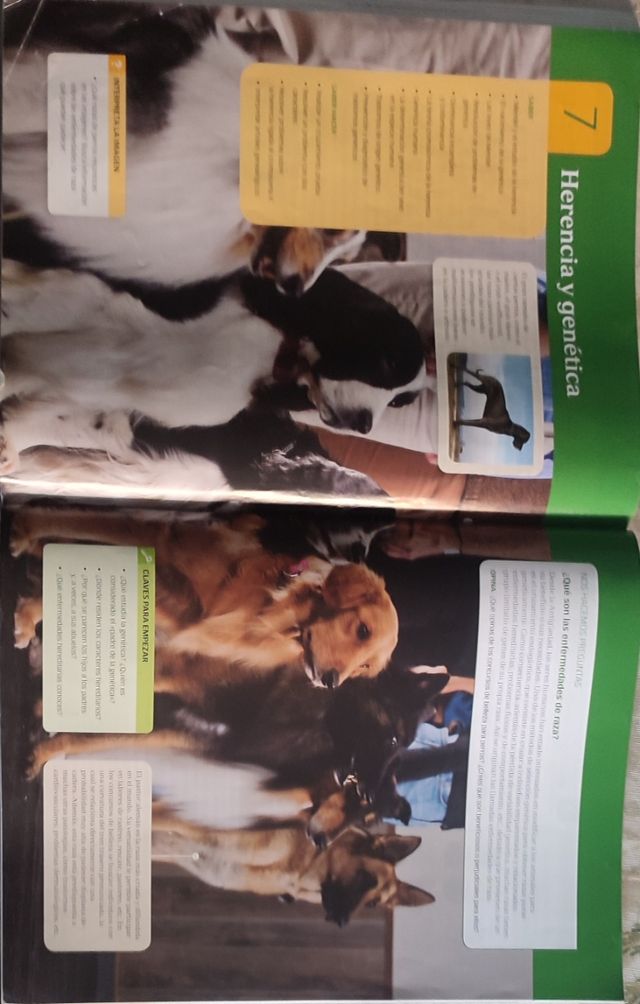 Biología y Geología 4 Eso