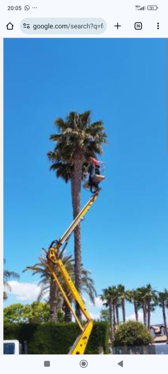 Poda en altura y todo tipo de talas!!!