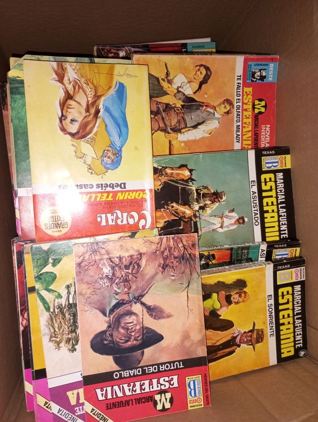 Colección Marcial Lafuente Estefanía