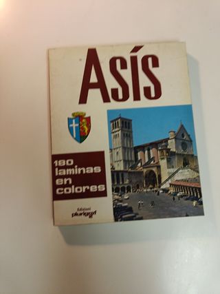 Libro Arte Asis