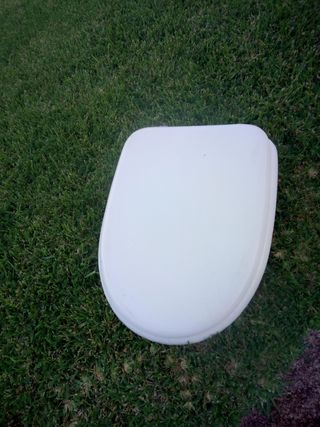 Tapa inodoro