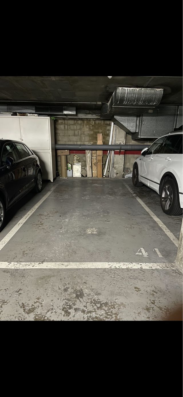 Plaza parking coche grande