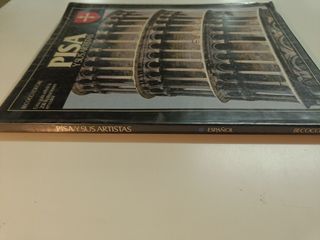 Libro Arte pisa y sus Artistas