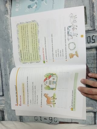 Comprensión lectora 2 PRIMARIA