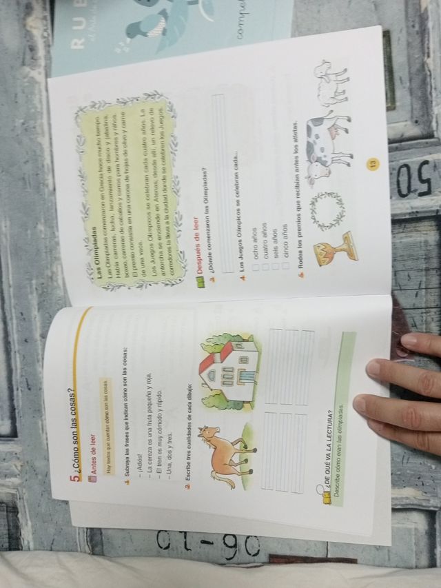 Comprensión lectora 2 PRIMARIA