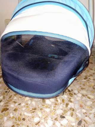 Cuco maxi cosi Jané + funda