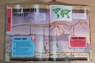 Libro de Dinosaurios para Niños