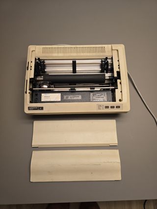 Stampante ad aghi vintage Mannesmann Tally MT81