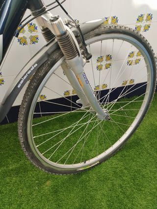 Bicicleta urbana, MTB, trekin