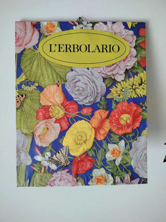 Due quadri fiori veri pressati 