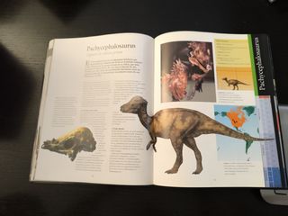 Dinosaurios del inicio a la extinción