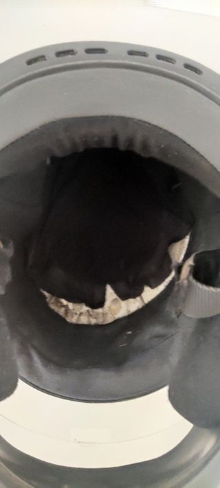 Regalo casco de moto 