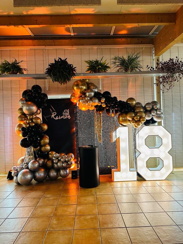 Alquiler numeros led