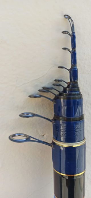 CANNA BOLOGNESE 8 MT DAIWA