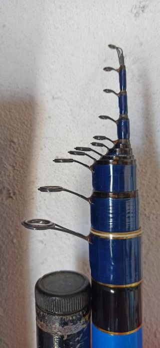 CANNA BOLOGNESE 8 MT DAIWA