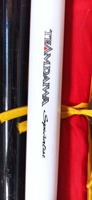 CANNA BOLOGNESE 8 MT DAIWA