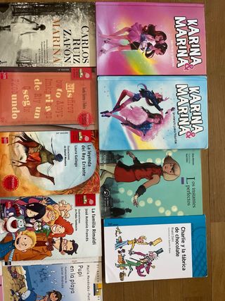 Lote de libros