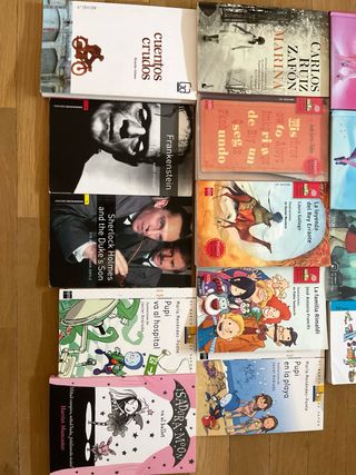 Lote de libros