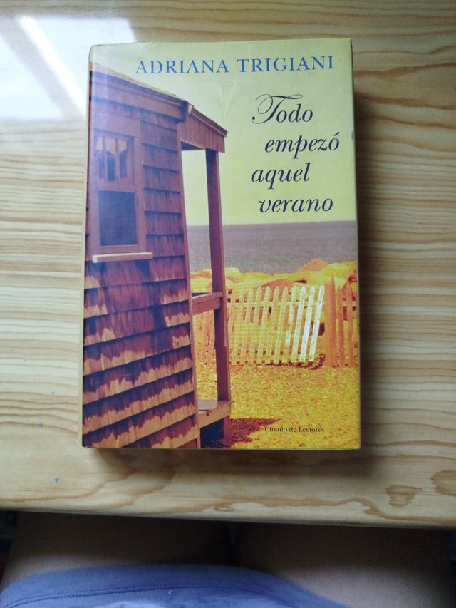 Todo empezó aquel verano 