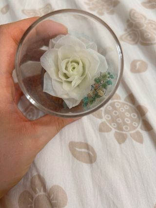 Rosa da collezione