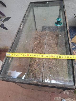 ACUARIO