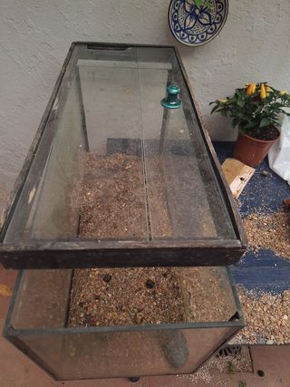 ACUARIO