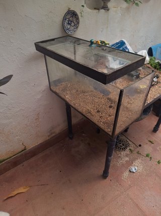 ACUARIO
