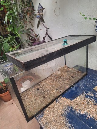 ACUARIO