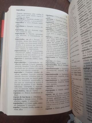 Libro diccionario manual lengua española