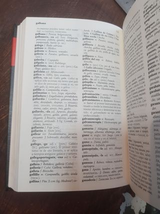 Libro diccionario manual lengua española
