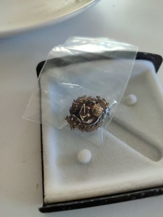 Insignia/pin plata Magisterio