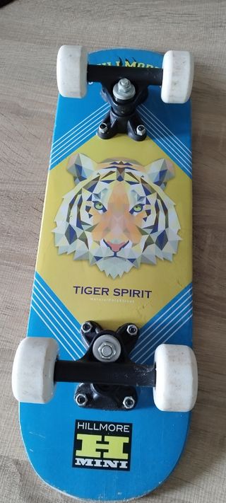 Skate pequeño