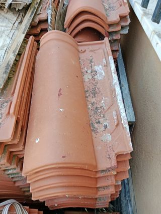 Se vende teja roja