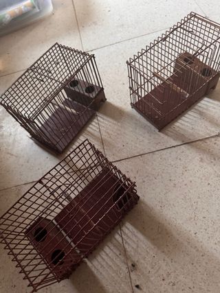 Maletines jaula de reclamo