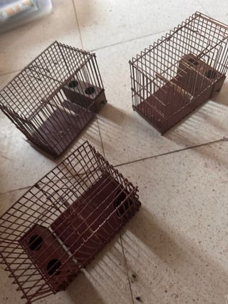 Maletines jaula de reclamo