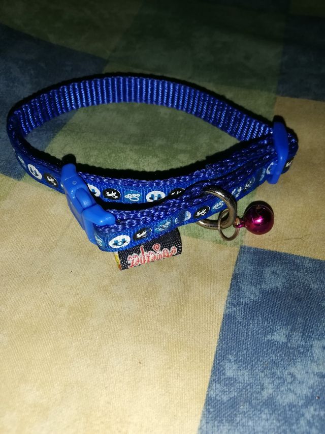 Lote Para Mascotas perro Pequeño 4 Articulos