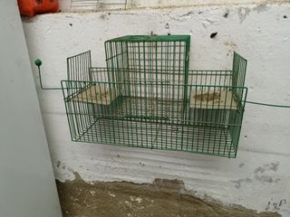 Jaula de pájaro antigua