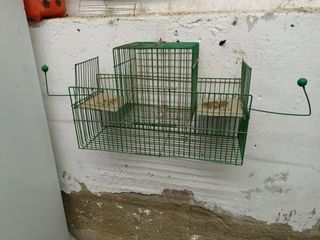 Jaula de pájaro antigua