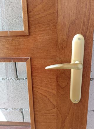 Puerta interior de cristales-madera casa