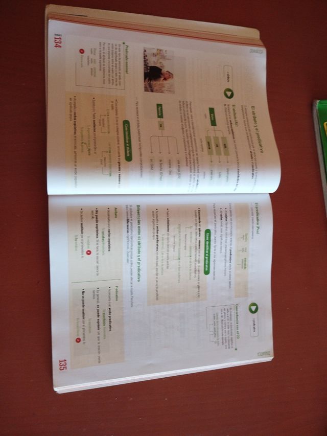 Libro di lingua e letteratura. 2 ESO