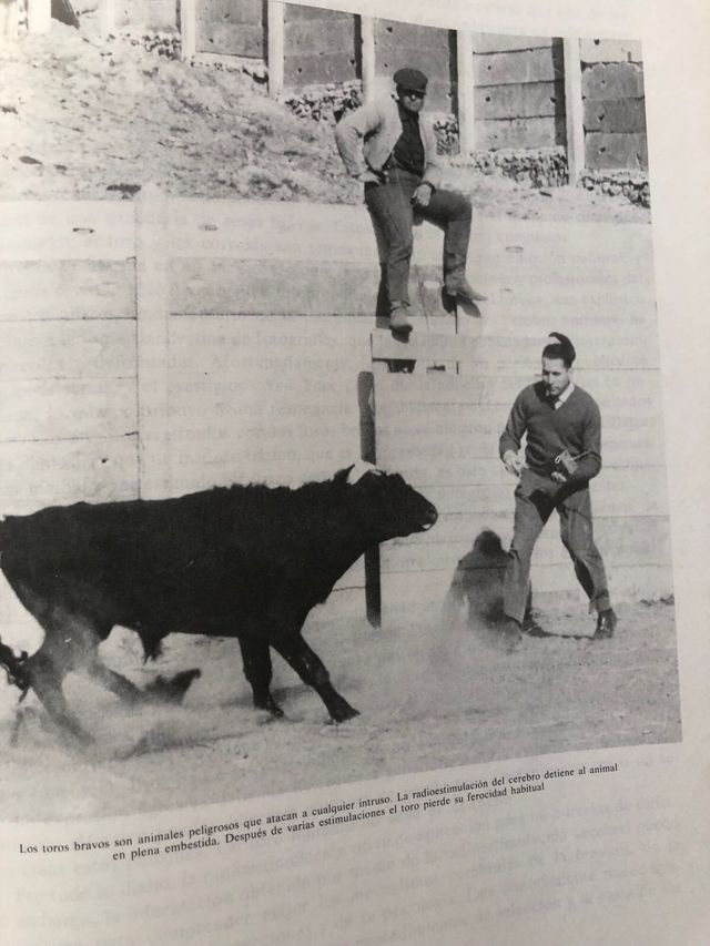 Los Toros. Cossio. Tomos enormes. 5 y 7