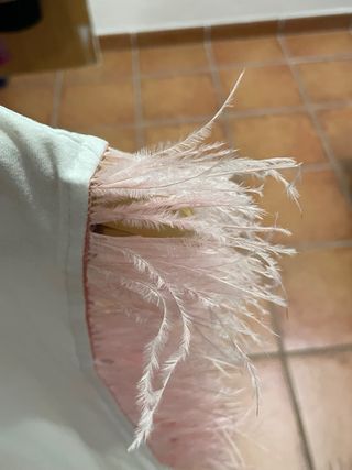 Camiseta con plumas