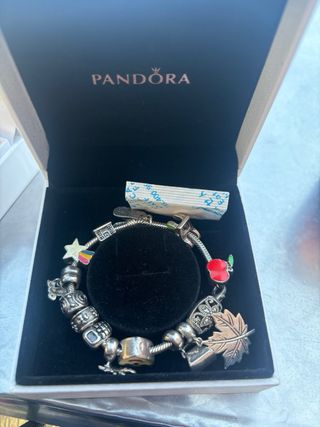 Pulsera plata con 14 chars
