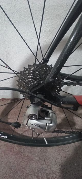 Bicicleta colnago arte
