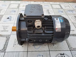 Motor trifasico