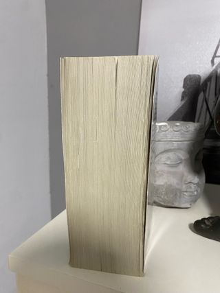 Libro terror Stephen King (IT)