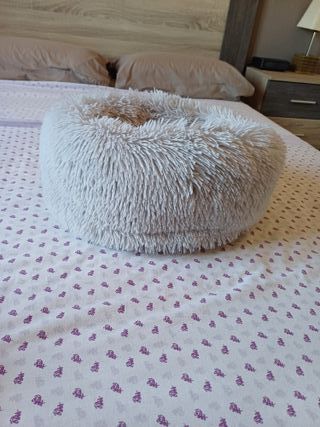 Cama para gatos