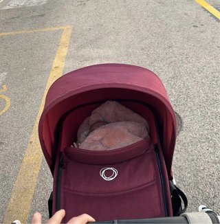 Carro bugaboo bee 5