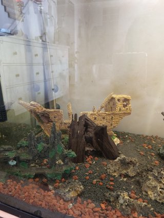 Acuario de 300litros precio negociable
