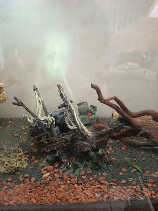 Acuario de 300litros precio negociable